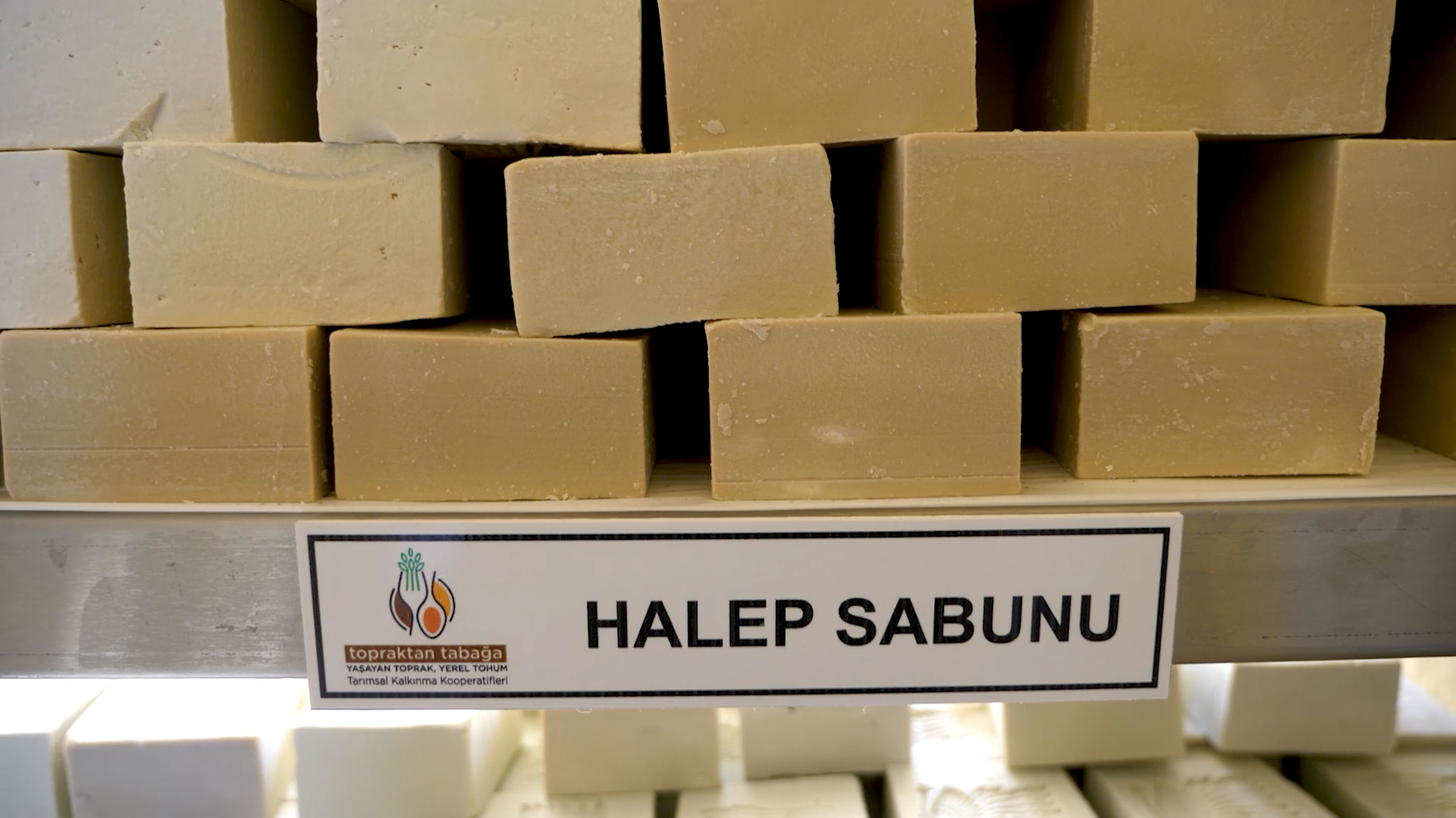 Halep Sabunları Projesi