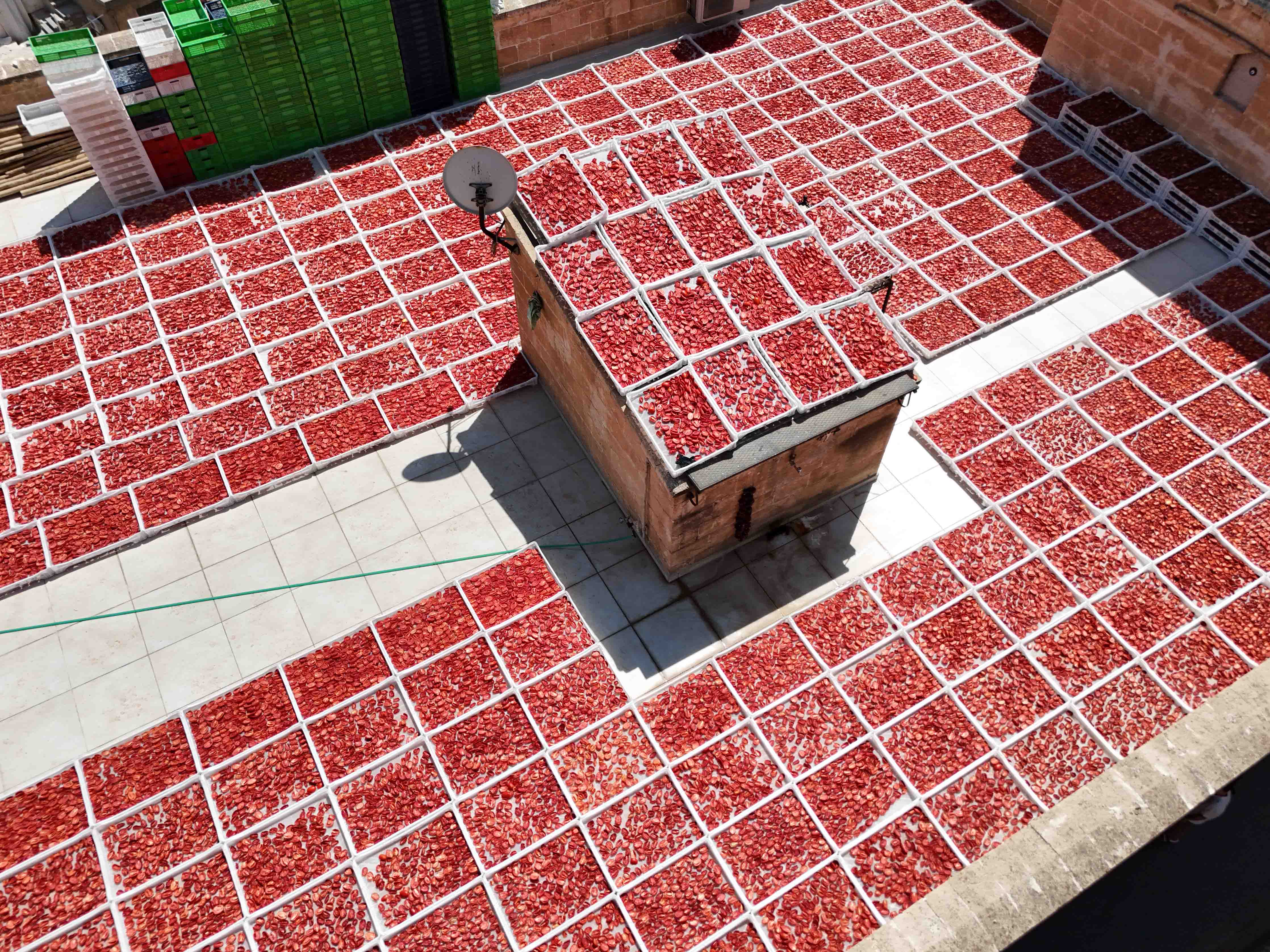 Topraktan Tabağa Tarımsal Kalkınma Kooperatifi