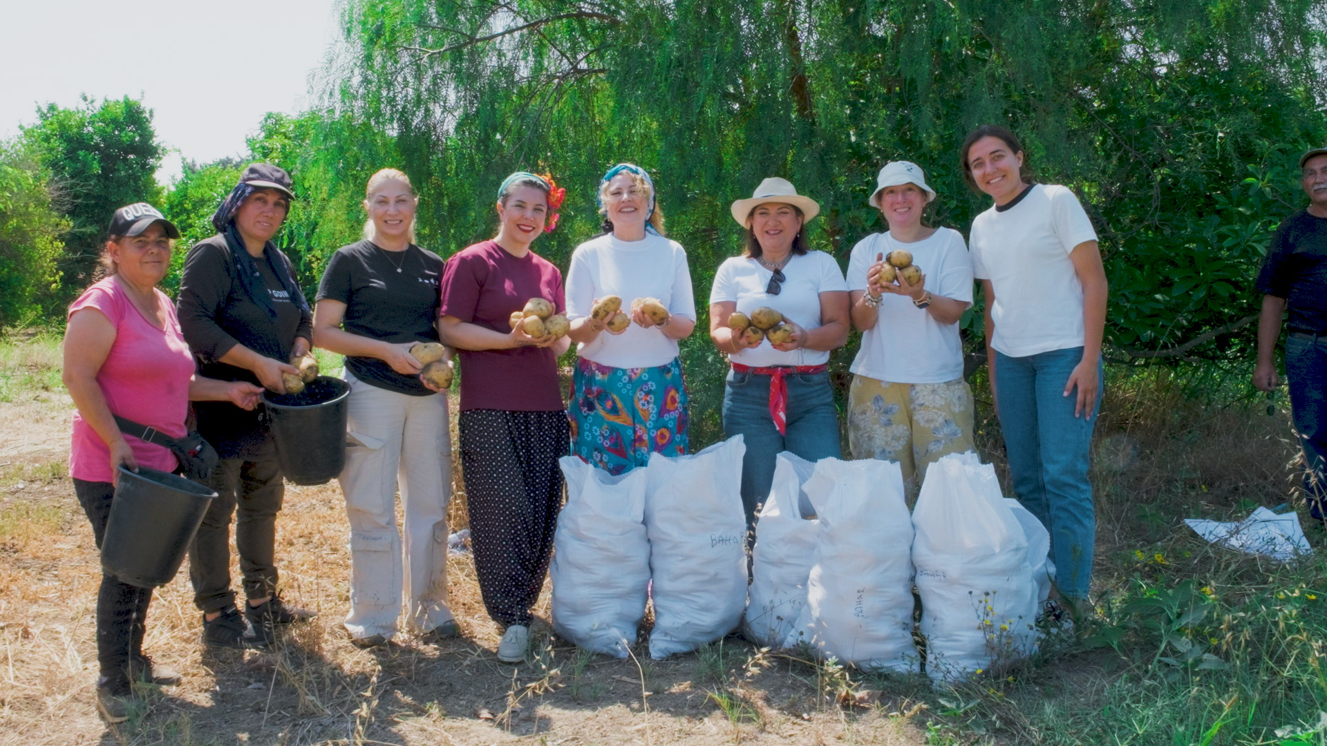 Kuzey Kıbrıs Türk Cumhuriyeti’nde Patates Ekimi - İklim Değişikliğinin Etkilerine Karşı Gıda Güvenliğinin Sağlanması